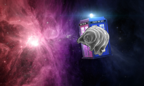 A Tardigrade and the TARDIS in space